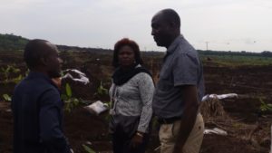 Hon. Efiteh and other CDC personnel present during banana planting at the CDC plantation.