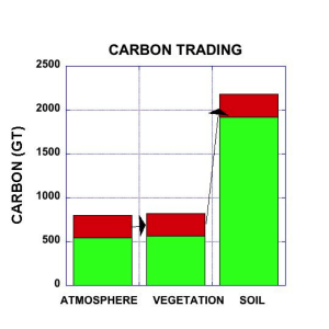 Carbon contents of atmosphere, vegetation, and soil, showing transfer of the anthropogenic excess, shown in red. In the left column green represents the preindustrial CO2 level, the current value is the green plus red column. To get transfer of all the excess to the current biosphere (green, middle column) would be an equally large increase, but if that is transferred to the current soil carbon (green, right column) the proportional increase is small. Soil carbon estimates to a depth of 2.3 meters are based on Shangguang et al., 2014. Note that this is an underestimate because it does not include carbon in deeper soil horizons. Also note that wetland carbon and marine mangrove and seagrass carbon may also be equivalent in magnitude to soil, but current estimates are too poor to show. 