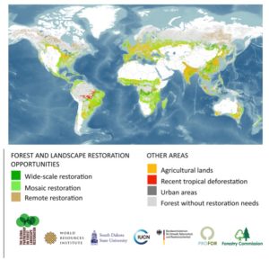 Forest opportunities cover much of the planet.