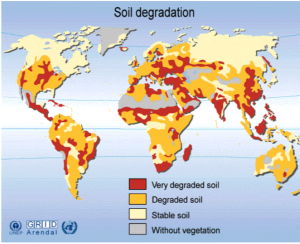 World map of degraded soils.