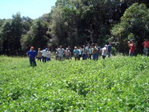 Brazil farmer research: AS-PTA workshop in Brazil. Photo from LEISA Magazine.