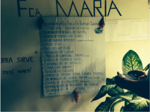 A list of agroecology practices Maria’s family farm is using as part of the transition to ANAP approved sustainable farming.