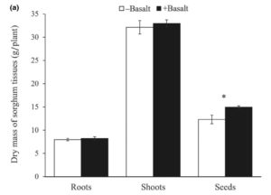 Graph showing increased growth using basalt rock dust