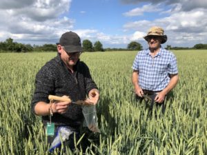 Glyn Mitchell in the field during a Soil Regen Course, June 2019