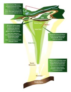 Diagram showing the geological features of the Spanish River Carbonatite Complex