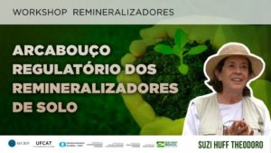 Poster for Suzi Huff Theodoro's remineralization workshop at the IV Congresso Brasileiro de Rochagem