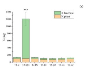 Graph showing vastly more loss of potassium using conventional fertilizer compared to rock dust