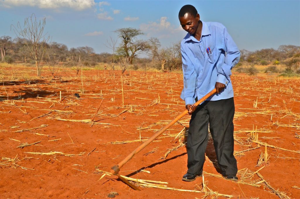 Making of edible dirt for commercial purposes in Dar es Salaam, Tanzania,  East Africa Stock Photo - Alamy