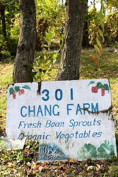 Dr. Chang's farm